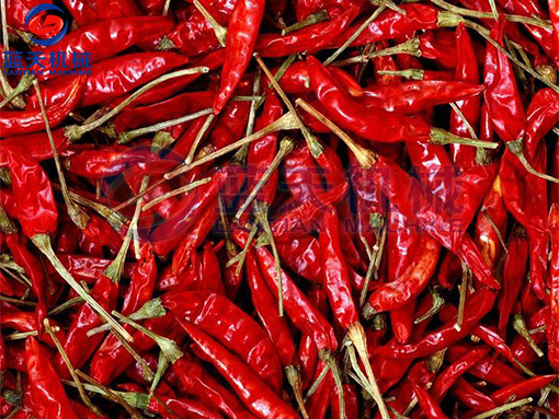 湖南辣椒烘干機烘干現場(chǎng)