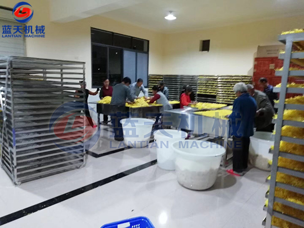 開(kāi)封菊花烘干機烘干現場(chǎng)