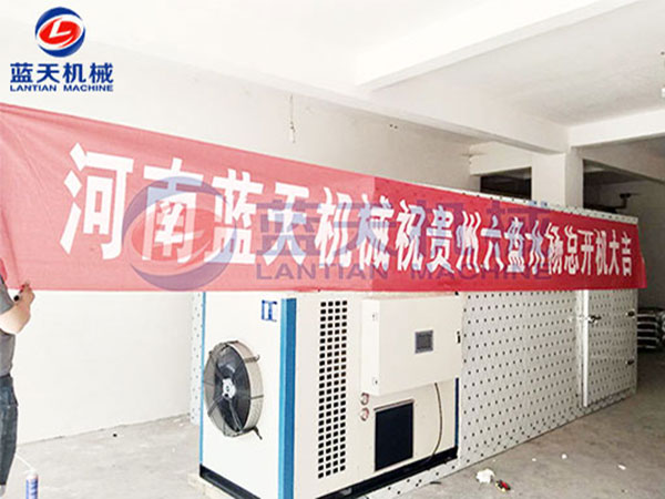 貴州六盤(pán)水楊總金絲黃菊烘干機開(kāi)機